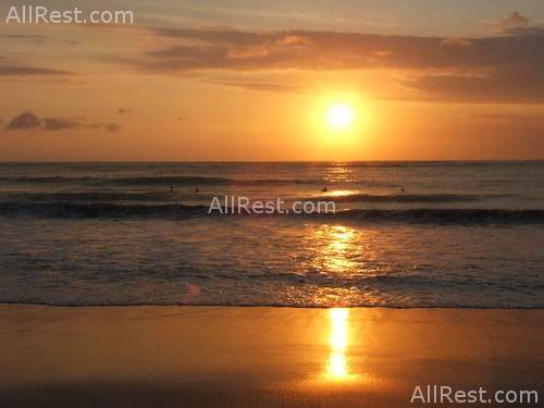 Melia Bali - The Garden Villas 42
